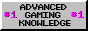 88x31: #1 advanced gaming knowledge