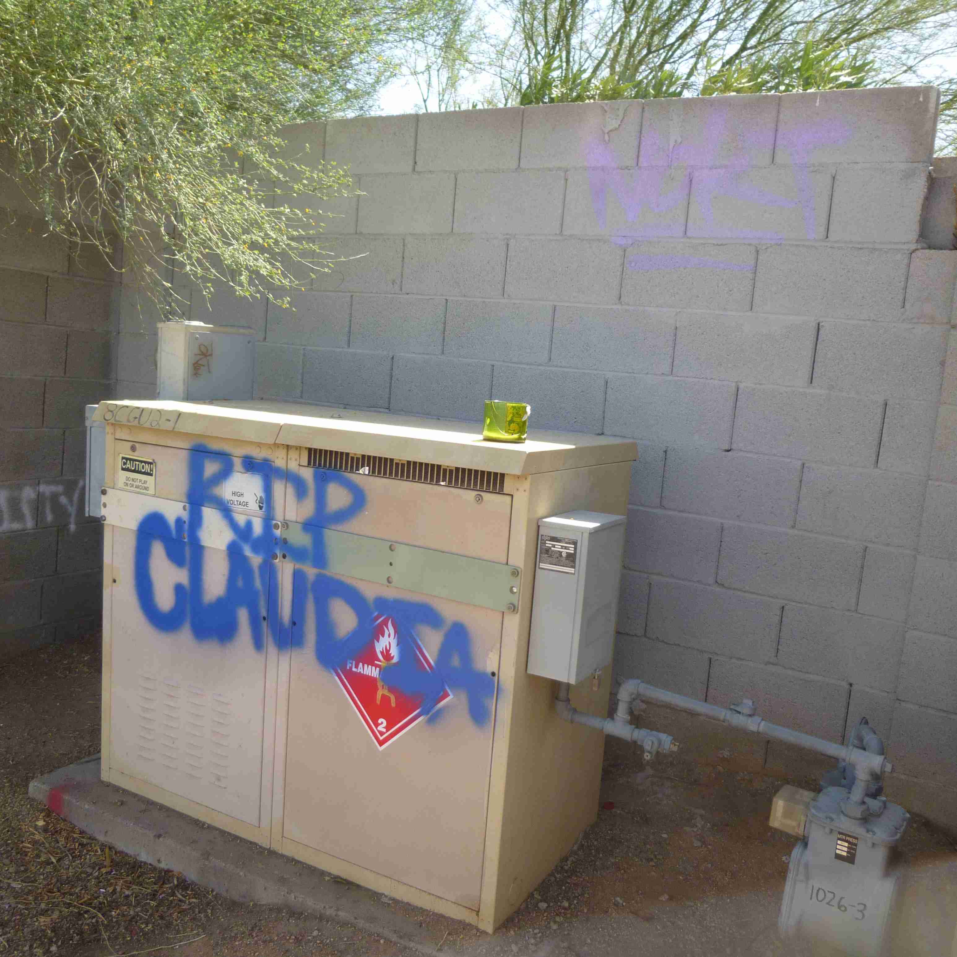 rip claudia spray-painted electrical box