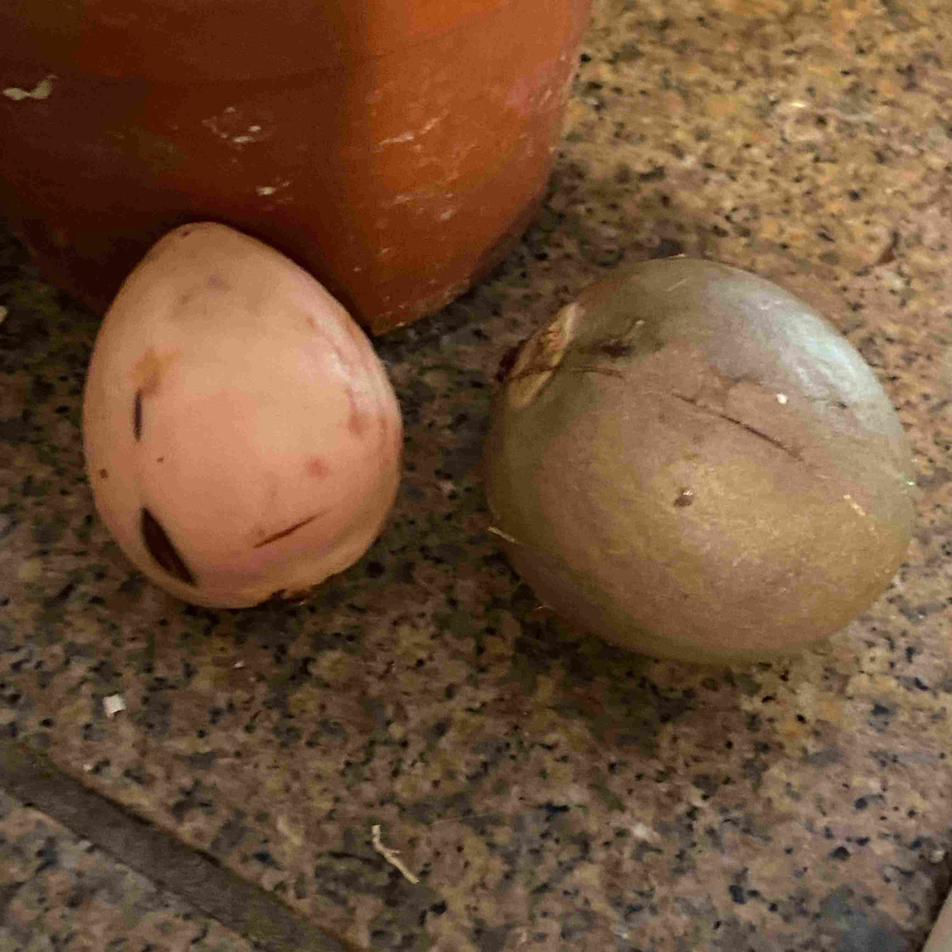 an avocado pit before (right) and after (left) having the skin peeled